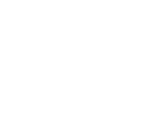 SYN-kurser logo